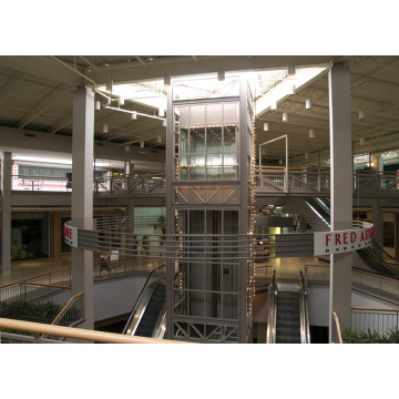 Elevador panorâmico do shopping da observação da parede traseira